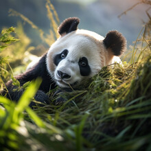 Panda In Its Natural Habitat, Wildlife Photography, Generative AI