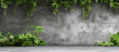 Concrete wall background, vines, green plants, with copy space