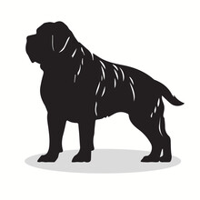 Neapolitan Mastiff Silhouettes And Icons. Black Flat Color Simple Elegant Neapolitan Mastiff Animal Vector And Illustration.