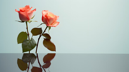 Minimalistic modern still life with rose Seasonal banner, Tenderness postcard. Mother’s Day background.