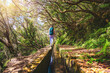 © Michael - Female tourist walking along a water canal path overgrown with trees on a sunny day. 25 Fontes Waterfalls, Madeira Island, Portugal, Europe.