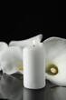 © New Africa - Burning candle and white calla lily flowers on black mirror surface in darkness, closeup with space for text. Funeral symbol