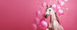 The beautiful white horse in jump through balloons and confetti on pink background