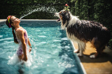 Girl Splashing Her Dog At The Pool On A Hot Summer Day