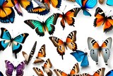 Fototapeta Motyle - seamless background with butterflies