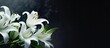 A banner with a dark background and white lily flowers. mourning is depicted through the imagery. Remembering and mourning are emphasized. The photo has a close-up, side view with selective focus