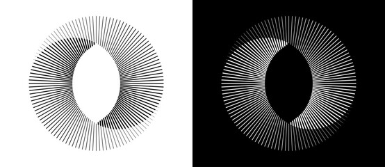 Poster - Lines in circle abstract background. Dynamic transition illusion. Black shape on a white background and the same white shape on the black side.
