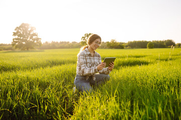 Young farmer woman in a green field of wheat with a digital tablet in her hands. Checking the progress of the harvest. Agriculture concept. Smart farm.