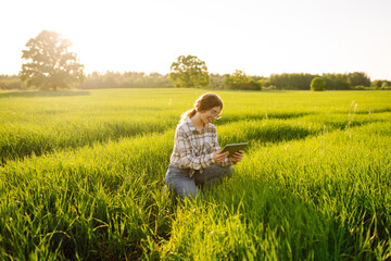 Young farmer woman in a green field of wheat with a digital tablet in her hands. Checking the progress of the harvest. Agriculture concept. Smart farm.