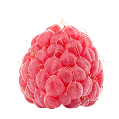 Wall Mural - One fresh raspberry fruit  isolated in white background. Isolated berries. Healthy food. File contains clipping path.