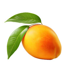 Wall Mural - Ripe mango with leaf on transparent backround, isolated and with clipping path.