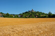 Summer field with castle Reichenberg on a hill
