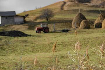 Canvas Print - Closeup shot of hay against a background of a red tractor and haystacks in a field