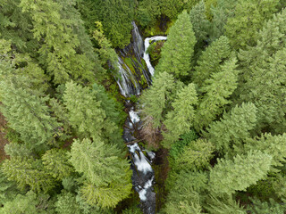 Seen from a bird's eye perspective, the impressive Panther Creek Falls flows through the Gifford Pinchot National Forest in Washington. This beautiful area is not far from the Columbia River Gorge.