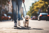 Fototapeta Psy - dog walking with unrecognizable owner in city street crosswalk, AI Generated