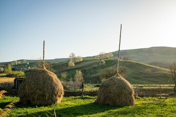 Wall Mural - Two round bales in a field with grass on the ground