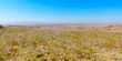 Areal shot of a vast expanse of vibrant purple flowering desert: Atacama, Chile