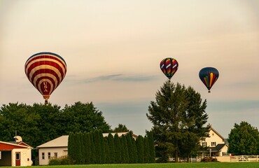 Wall Mural - Sunset sky filled with colorful hot air balloons.