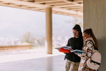 Wall Mural - High school girls revising their notes