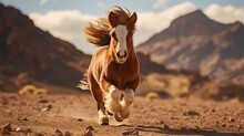 A Mini Pony Horse Running Over The Desert