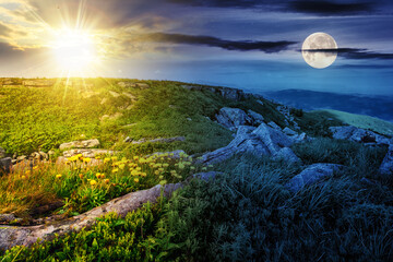 Wall Mural - yellow dandelions in the grass among the huge stones on hillside in high mountains with sun and moon