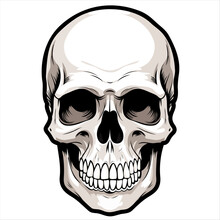 Vector Skull With Black Outline Halloween, Tattoo And Stickers