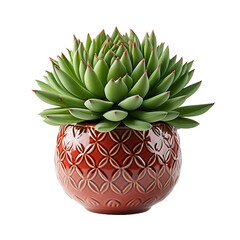 Wall Mural - tree in a pot