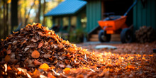 Pile Of Crunchy Fall Leaves With Rakes And A Garden Shed In The Background, Fall Yard Work, Fall
