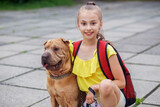 Fototapeta Zwierzęta - Child walking with dog. School girl after school having fun dog outdoors. Pets concept