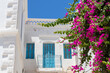 The street of Houmt Souk in Tunisia, white city with blue doors and windows and pink flowers.