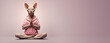 Calm looking sphynx cat wearing simple clothes, sitting on ground in lotus like position. Zen meditation concept, Banner with space for text at side. Generative AI