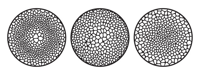 Organic cells radial pattern set. Vector grid mesh elements for design.