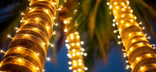 Palm Trees Decorated With Christmas Garland Night, Fairy Lights. Lighted Coconut By Led Light Bulbs Those Bind Led Around The Trunk With Blue Sky On The Background. Palm Trees With Christmas Lights.