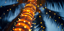 Palm Trees Decorated With Christmas Garland Night, Fairy Lights. Lighted Coconut By Led Light Bulbs Those Bind Led Around The Trunk With Blue Sky On The Background. Palm Trees With Christmas Lights.