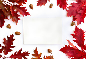Wall Mural - autumnal oak leaves and white paper card with space for text on white background. top view, flat lay