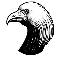 Bird Pelican Stork Crane Heron Ostrich Owl Marabou Tattoo Print Stamp