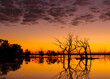 Sunrise over a lake with silhouettes of dead trees, reflections and an orange sky in Sturt National Park in New South Wales in Australia.