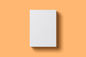 Poster - Blank software box mockup 