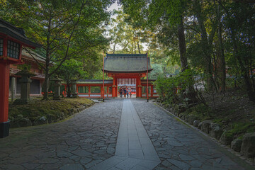 Wall Mural - 大分 宇佐神宮 下宮への参道風景