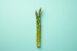 Green asparagus on mint green background