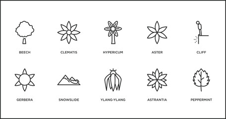Poster - nature outline icons set. thin line icons such as hypericum, aster, cliff, gerbera, snowslide, ylang-ylang, astrantia vector.