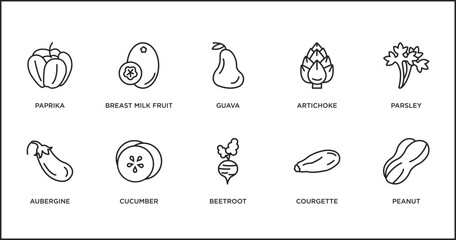 Poster - fruits and vegetables outline icons set. thin line icons such as guava, artichoke, parsley, aubergine, cucumber, beetroot, courgette vector.