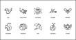animals outline icons set. thin line icons such as octopus, colibri, moose, squirrel, piranha, ray, ladybug vector.