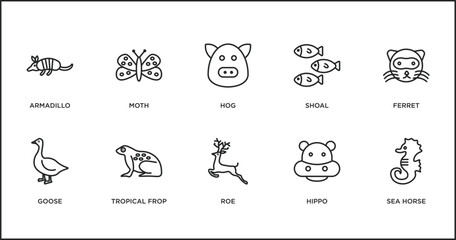 Poster - animals outline icons set. thin line icons such as hog, shoal, ferret, goose, tropical frop, roe, hippo vector.
