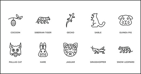 Poster - animals outline icons set. thin line icons such as gecko, sable, guinea pig, pallas cat, hare, jaguar, grasshopper vector.