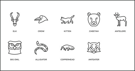 Canvas Print - animals outline icons set. thin line icons such as kitten, cheetah, antelope, big owl, alligator, copperhead, anteater vector.