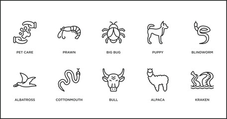 Poster - animals outline icons set. thin line icons such as big bug, puppy, blindworm, albatross, cottonmouth, bull, alpaca vector.