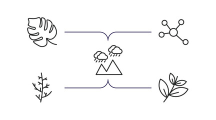 Poster - nature outline icons set. thin line icons such as philodendron, element, rainy landscape, cypress leaf, black willow vector.