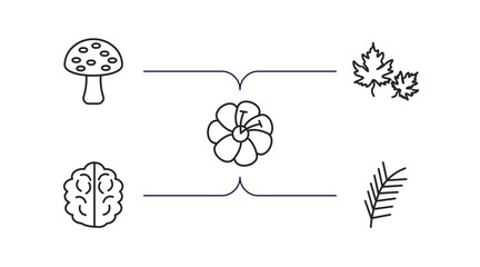 Poster - nature outline icons set. thin line icons such as amanita, dry leaf, hibiscus, human brian, pine leaf vector.