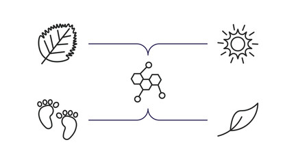 Poster - nature outline icons set. thin line icons such as birch leaf, shining sun with rays, chemical structure, four toe footprint, orange leaf vector.